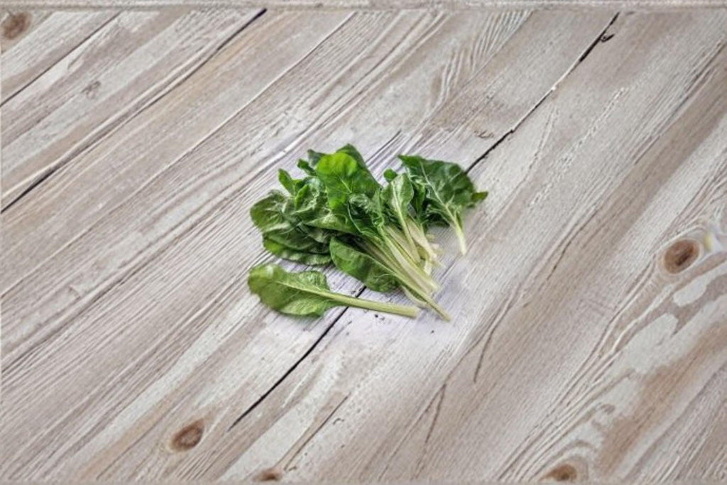 Swiss Chard – Fordhook 30 Seeds | Classic Heirloom Chard | Broad White Stems | Heat & Cold Tolerant