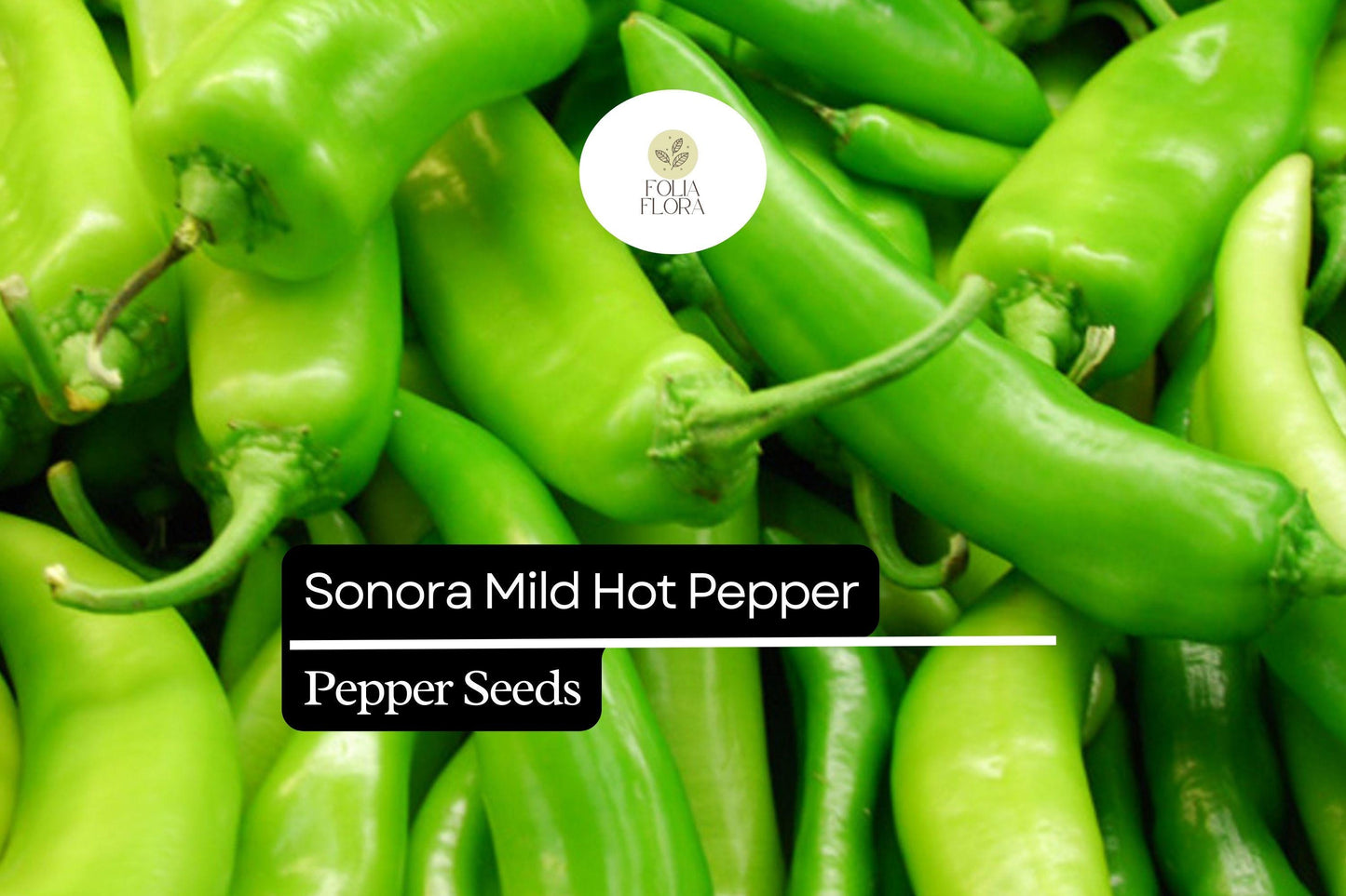 Sonora Mild Hot Pepper Seeds 250mg | Capsicum annuum | Non-GMO, Heirloom, Mild Heat, High-Yield, Perfect for Salsas, Roasting, and Cooking