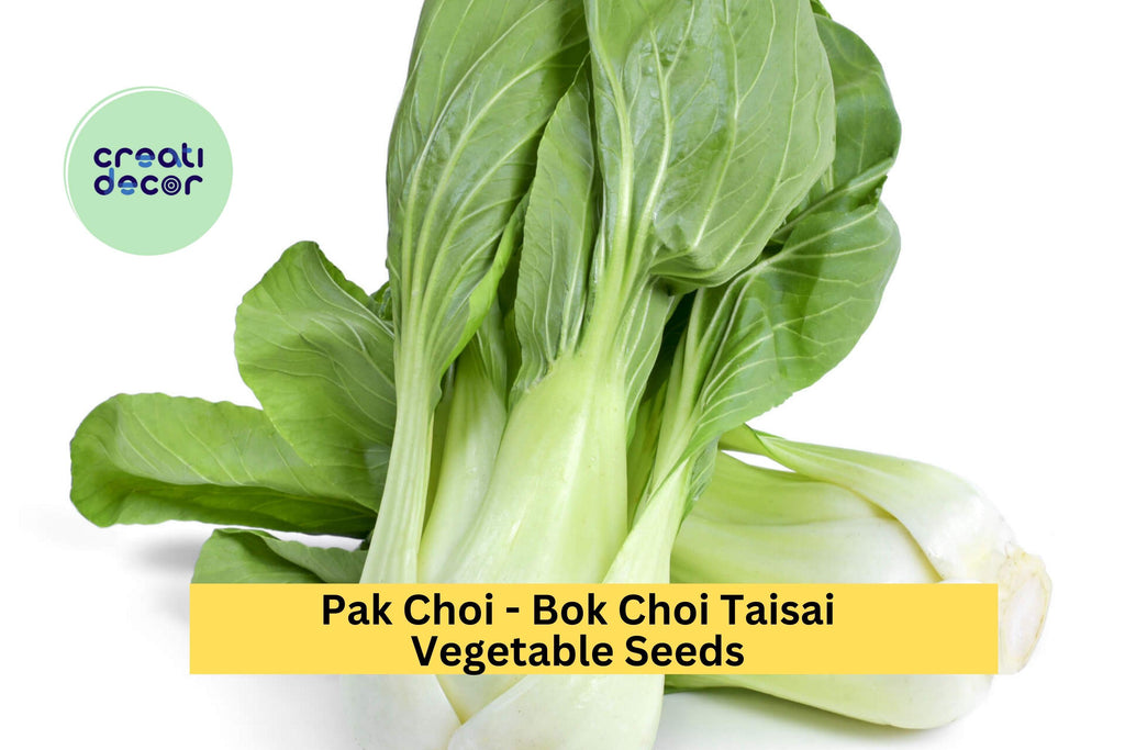 3pcs x 500mg Bok Choi Taisai Seeds – Asian Greens for Garden, Raised Beds, or Containers – Crisp, Fast-Growing Leaves Seeds for Planting