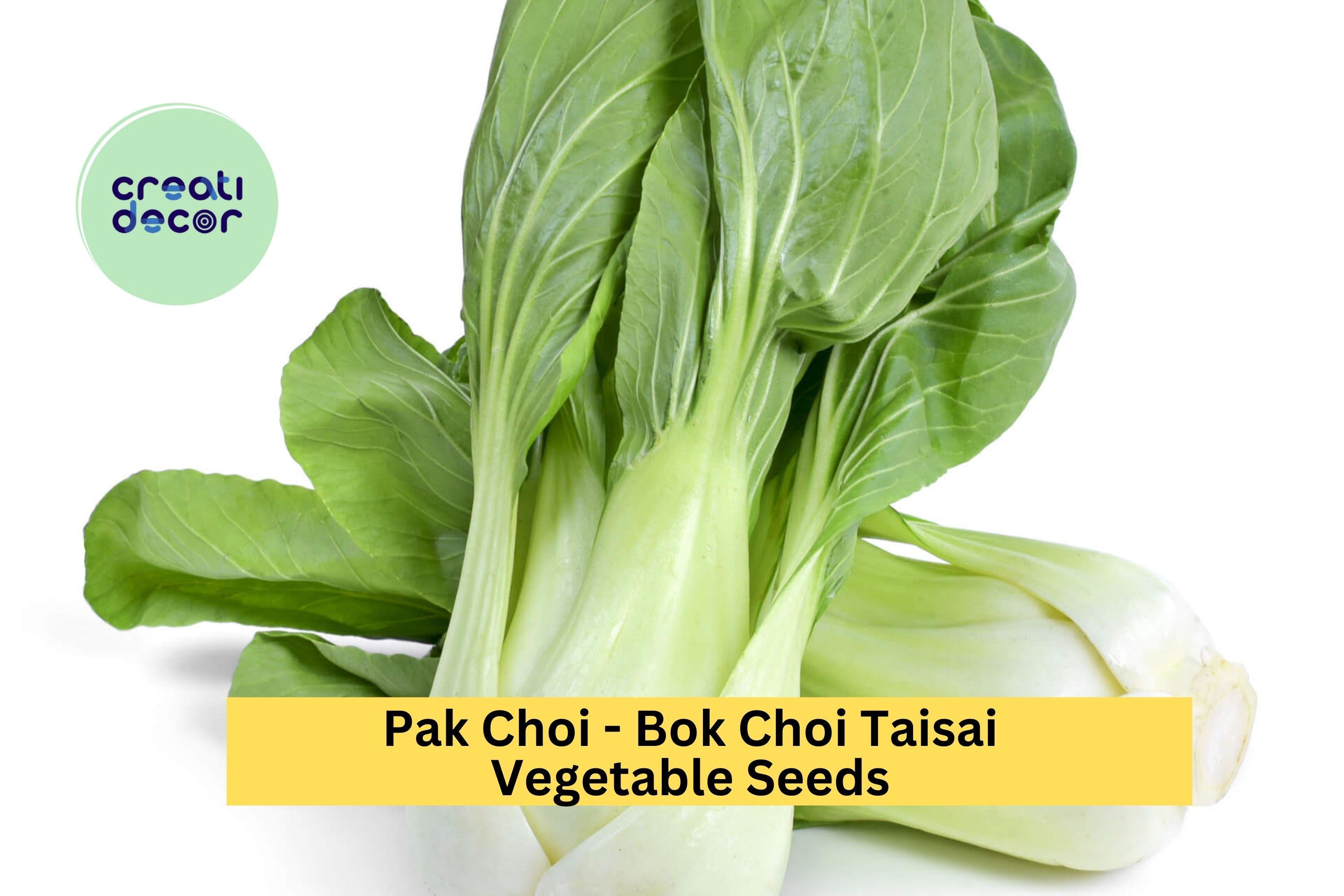 3pcs x 500mg Bok Choi Taisai Seeds – Asian Greens for Garden, Raised Beds, or Containers – Crisp, Fast-Growing Leaves Seeds for Planting