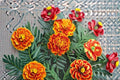 Sparky Mixture Sunflower 100 Seeds | Bright Bicolor Sunflowers | Red, Gold & Yellow Blooms | Eye-Catching Garden Mix
