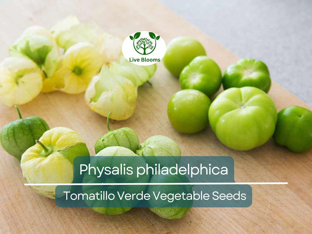 100 mg Seeds Tomatillo Verde – Physalis philadelphica | Fresh Mexican Husk Tomatoes for Planting, Salsa, and Cooking