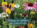 1000 Seeds Wildflower Mix All Perennial Heirloom Flowers Pollinators Non-GMO (Native Wildflowers)