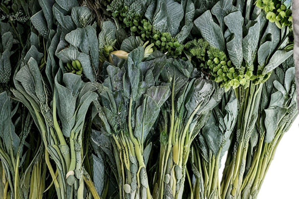 Chinese Broccoli – Kailaan (Open Pollinated) 150 Seeds | Asian Greens | Gai Lan Style | Tender Stems & Leaves
