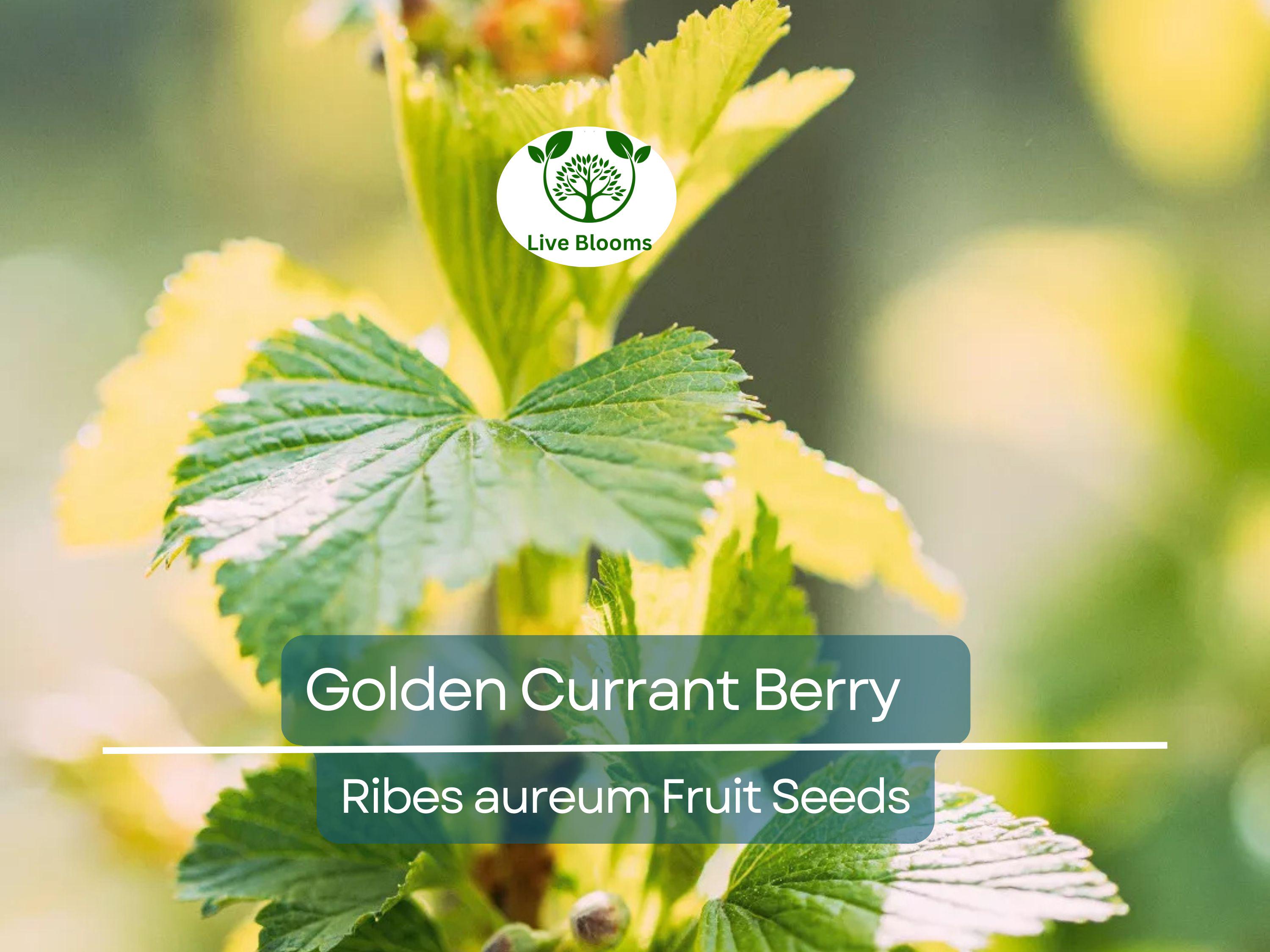 20 Golden Currant Berry Seeds (Ribes aureum), Edible Fruit Bush, Sweet Berries, Native Shrub, Wildlife Friendly, Garden Starter, Easy Grow