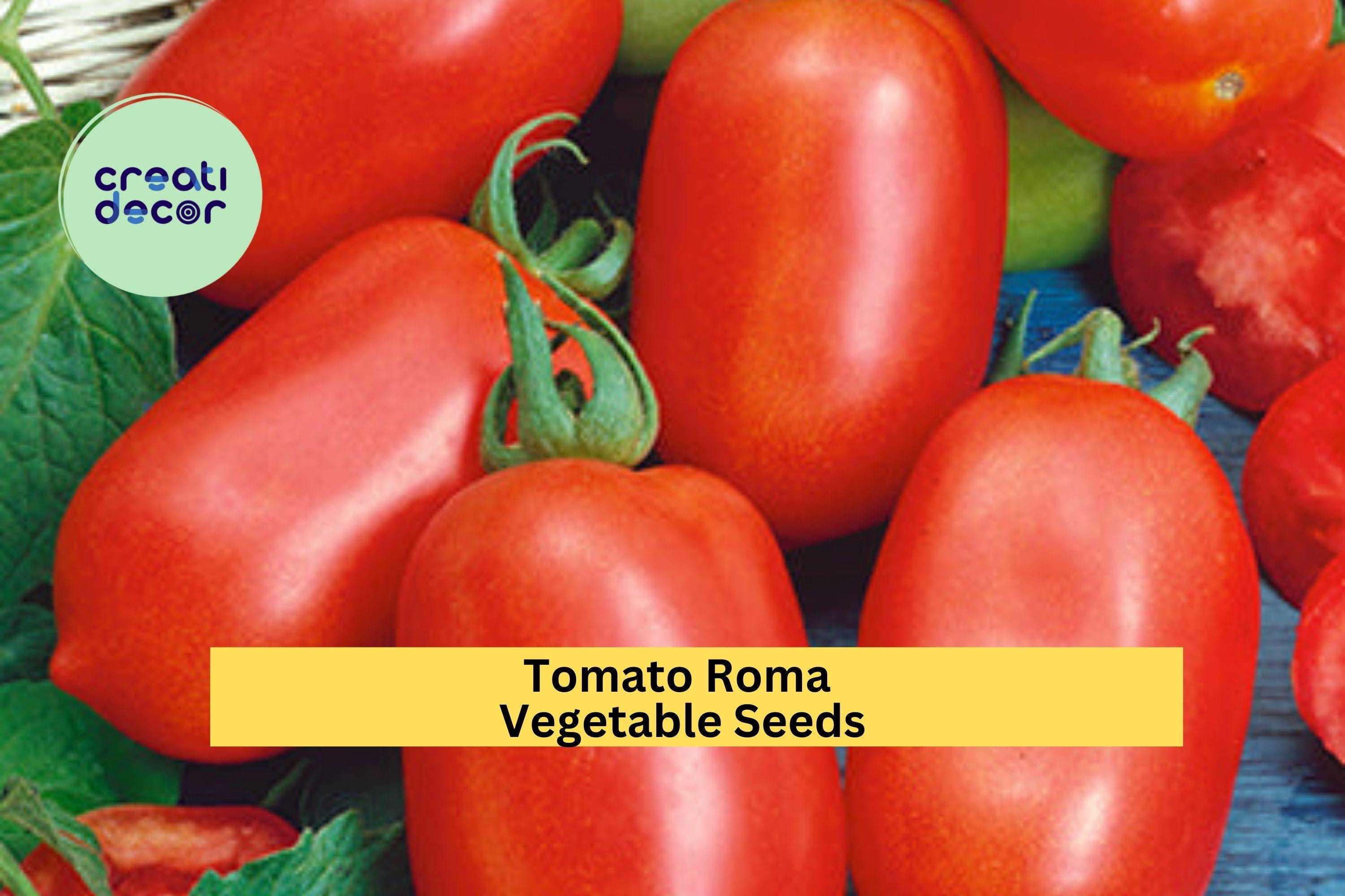 3pcs of 100mg Roma Tomato Seeds – Firm, Meaty Paste Tomatoes for Sauces, Canning, and Home Vegetable Gardening Seeds for Planting