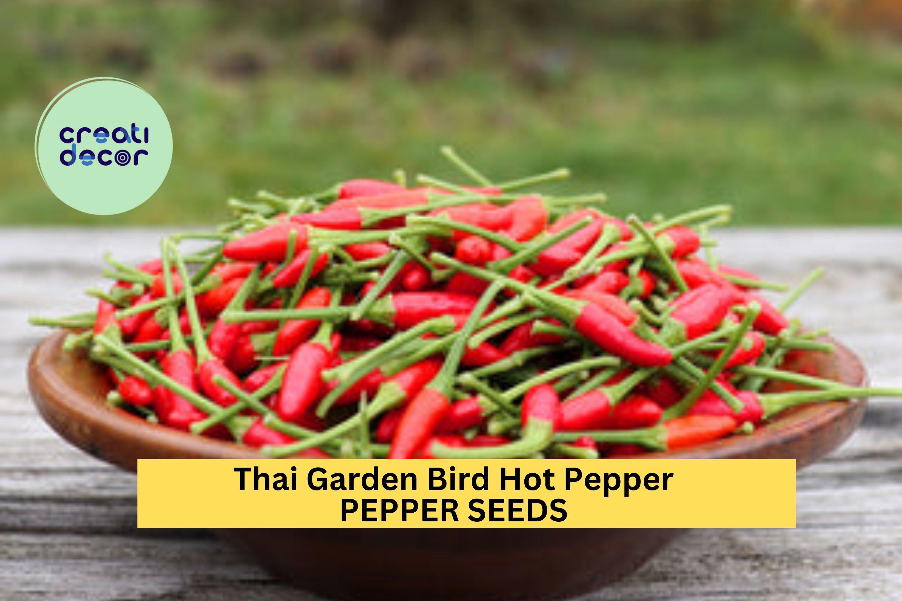 3pcs of 250mg Thai Bird Chili Seeds – Spicy Thai Prik Phao Peppers for Gardens, Hot Sauces, & Container Growing Seeds for Planting