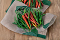Pepper – Hot Cayenne Red Long 30 Seeds | Classic Cayenne Chili | Long Slim Pods | Hot & Productive Heirloom