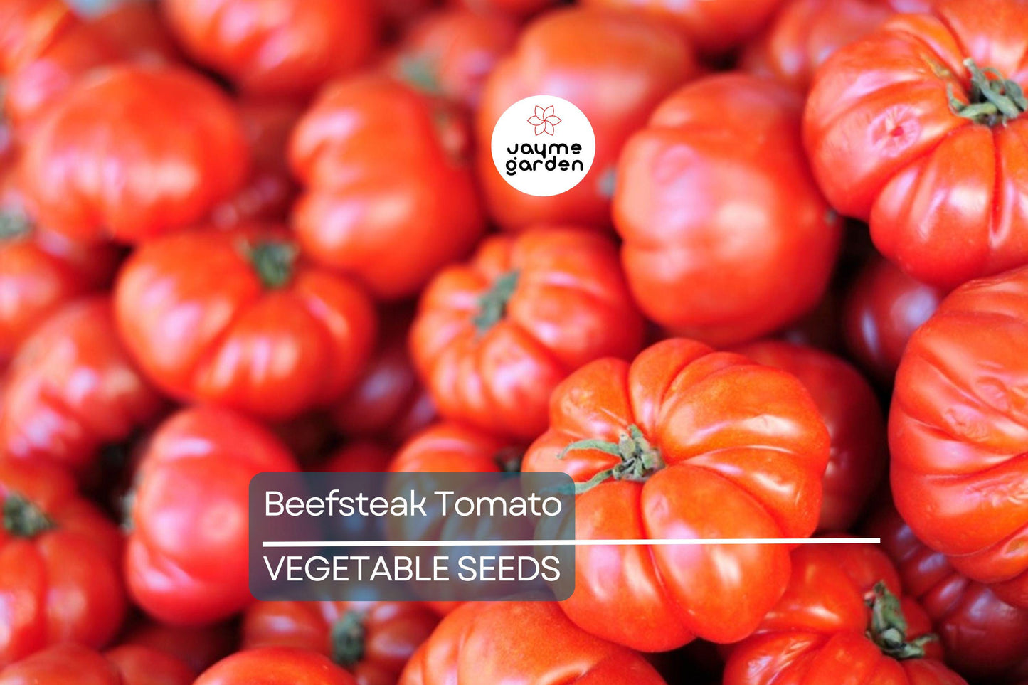 Beefsteak Tomato Seeds - Heirloom, Non-GMO, Slicing, 50 Seeds, Large Juicy Fruit, Full Sun, Zones 3-11, Free Shipping