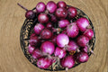 Onion – Southport Red Globe 50 Seeds | Classic Heirloom Red Onion | Firm Globe Bulbs | Excellent Storage Variety