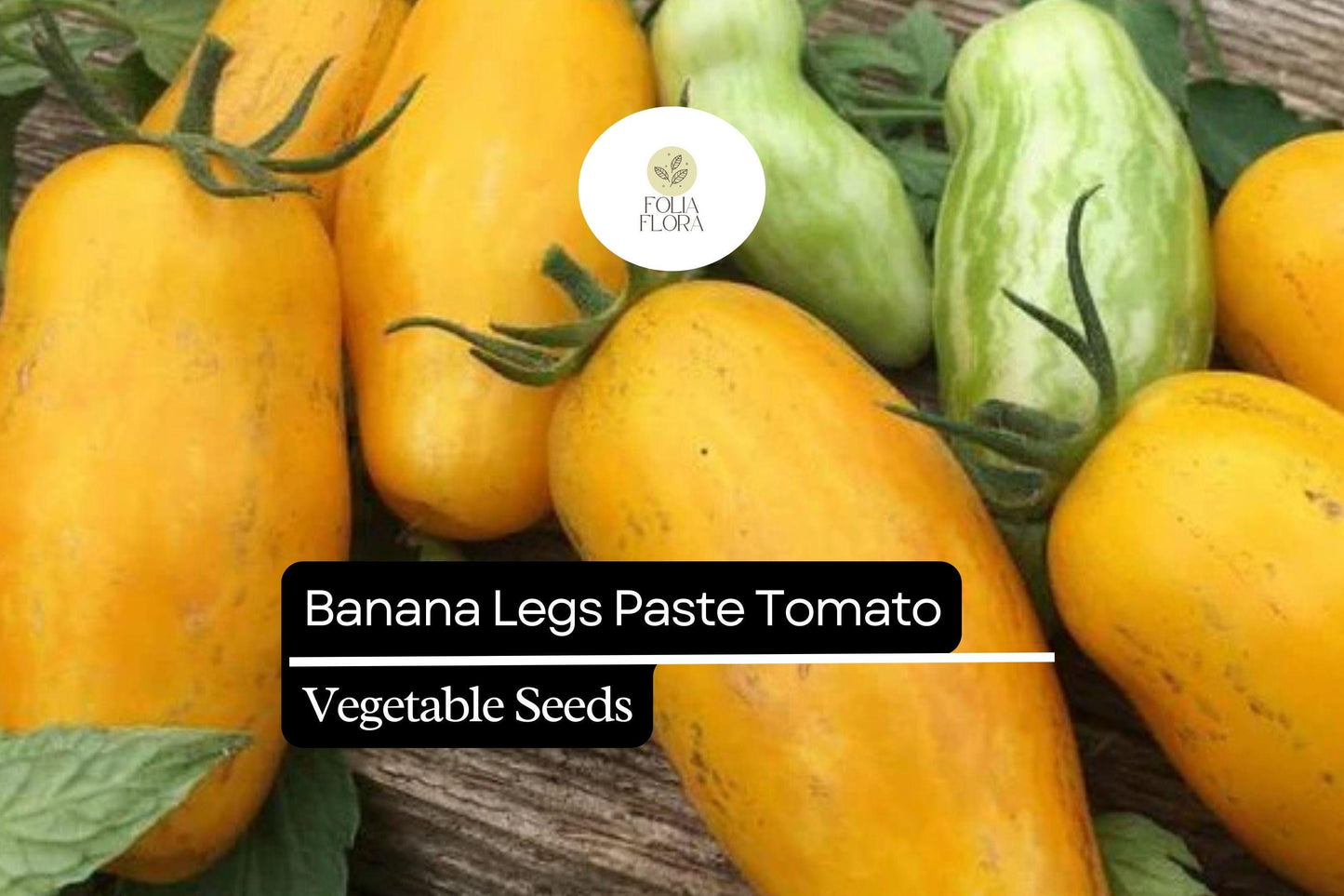 30 Banana Legs Tomato Seeds – Solanum lycopersicum – Heirloom, Yellow Paste Tomato, Mild & Meaty, Perfect for Sauces
