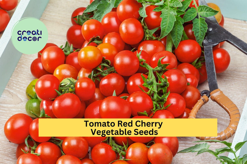 3pcs of 100mg Red Cherry Tomato Seeds – Sweet & Juicy Mini Tomatoes for Snacking, Salads, or Container Gardening Seeds for Planting