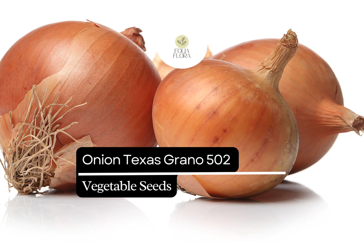250mg Onion Texas Grano 502 Seeds Allium cepa | Sweet Globe Onion, Non-GMO, Fast-Growing, Ideal for Mild Flavors and Fresh Use