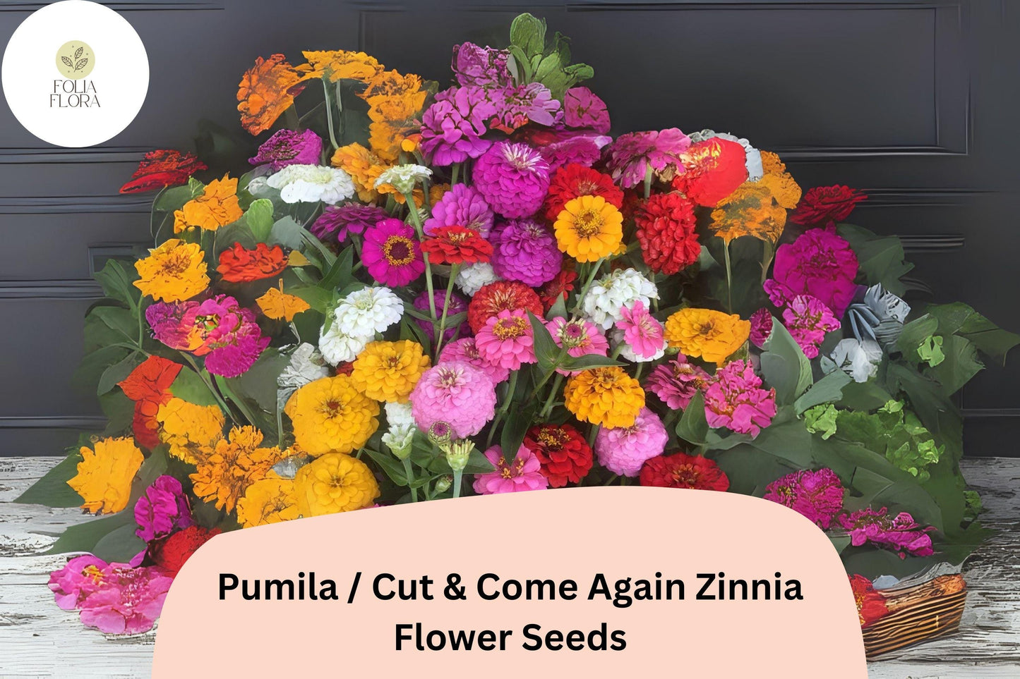 100+ Pumila Zinnia Seeds | Cut & Come Again Mix | Colorful Easy Annual Flowers | Pollinator Friendly Garden Blooms