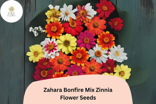 100+ Zahara Bonfire Mix Zinnia Seeds – Warm Red, Orange & Yellow Blooms for Garden Planting and Summer Beds