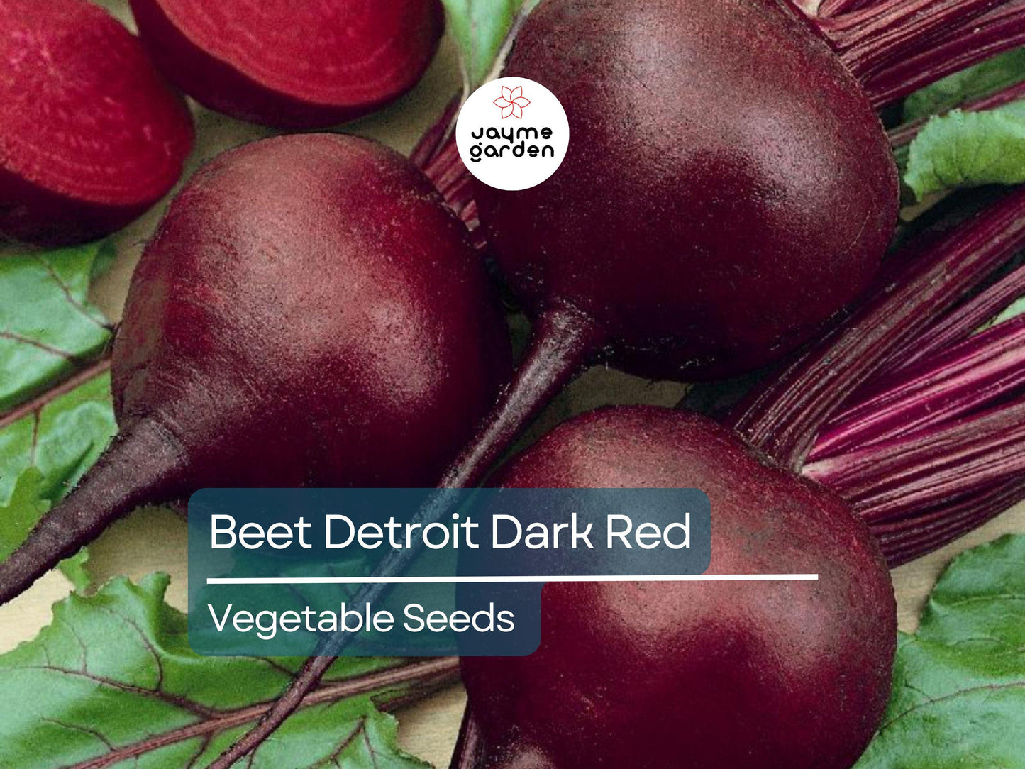 Beet Detroit Dark Red 1 Gram Seeds - Heirloom Non-GMO Variety - Sweet Tender Beets for Fresh Eating, Roasting, Salads, & Juicing