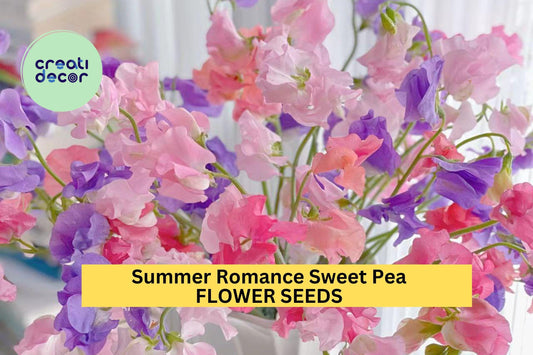 50+ Summer Romance Sweet Pea Seeds – Blush Pink Fragrant Blooms for Garden Planting, Climbing Vines for Trellises & Bouquets – USA