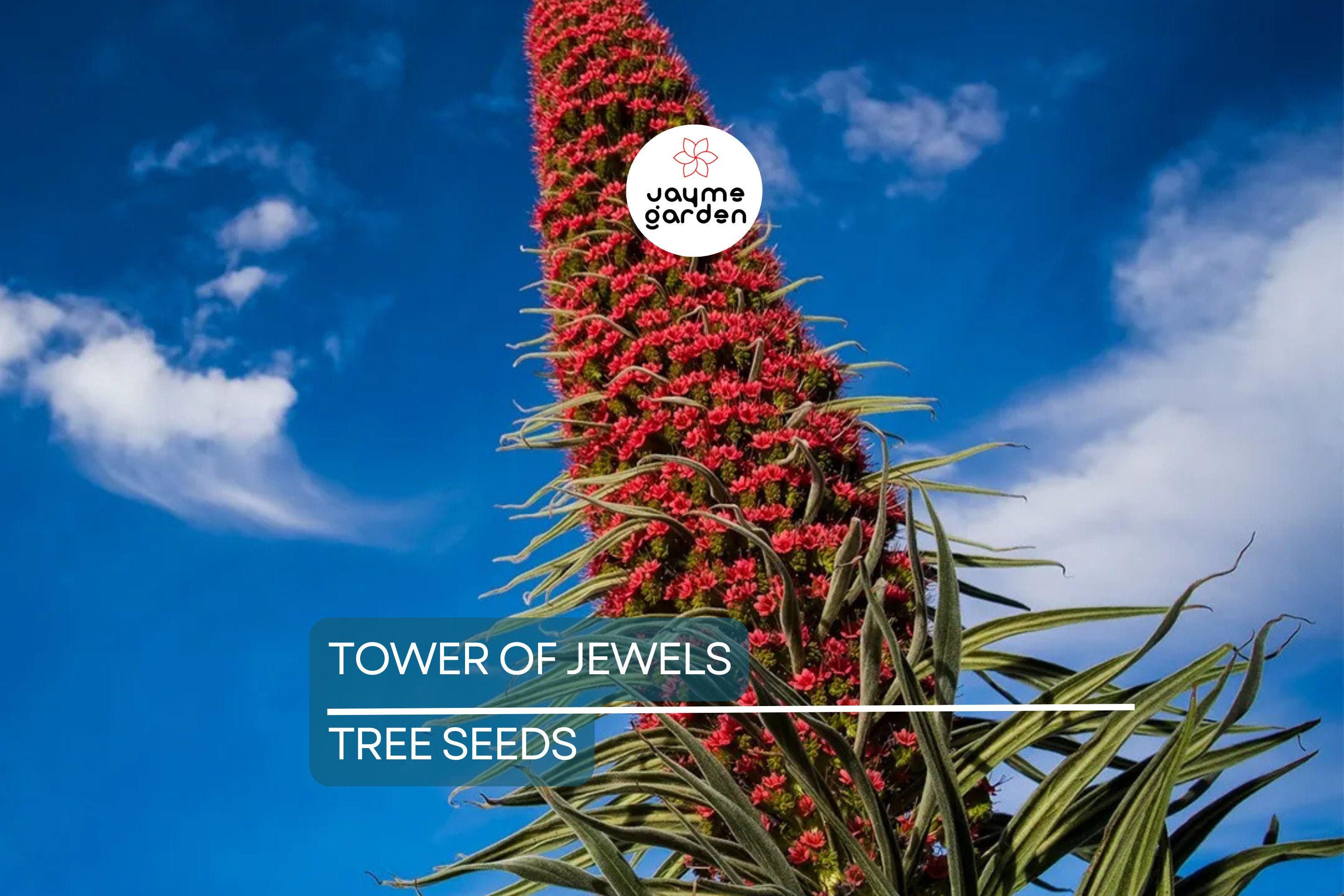 20 Tower of Jewels Seeds (Echium wildpretii) – 7 Ft Tall Hummingbird Flower, Rare Pink-Red Blooms for Garden