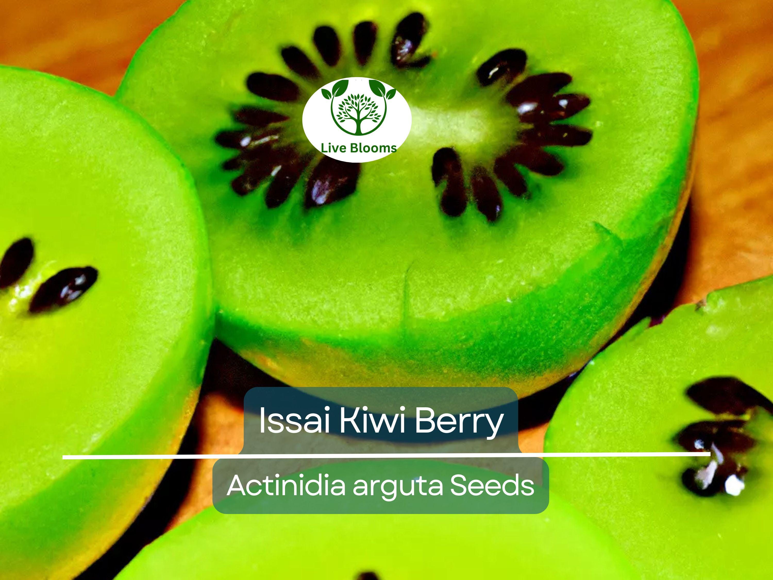 30 Issai Kiwi Berry Seeds | Arctic Grape, Kiwiberry | Fast-Growing Edible Fruit Vine | Hardy Kiwi | Actinidia arguta | Rare Fruit Seeds