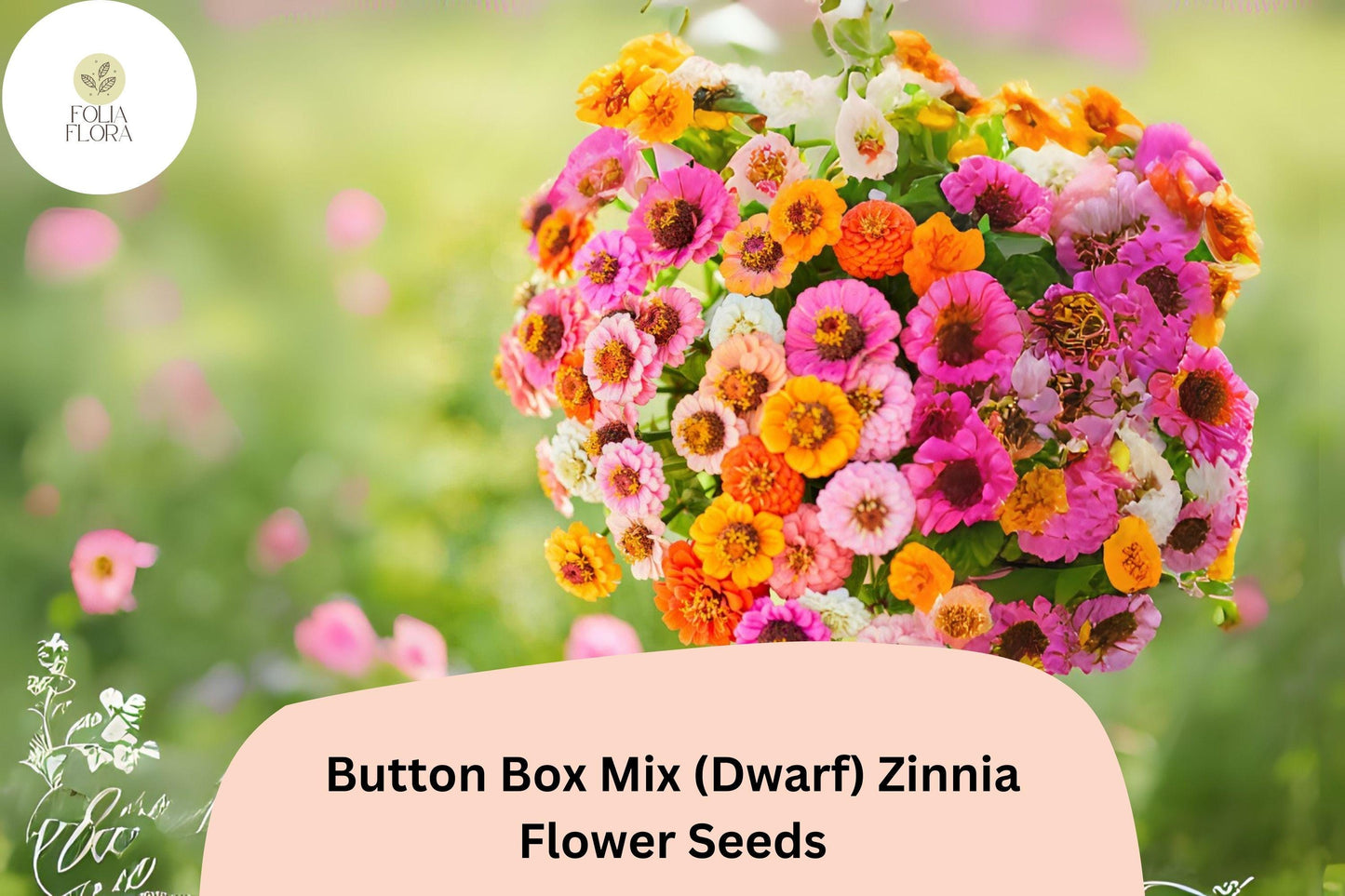 100+ Button Box Mix Zinnia Seeds (Dwarf) – Compact Blooms for Borders, Pots & Garden Beds