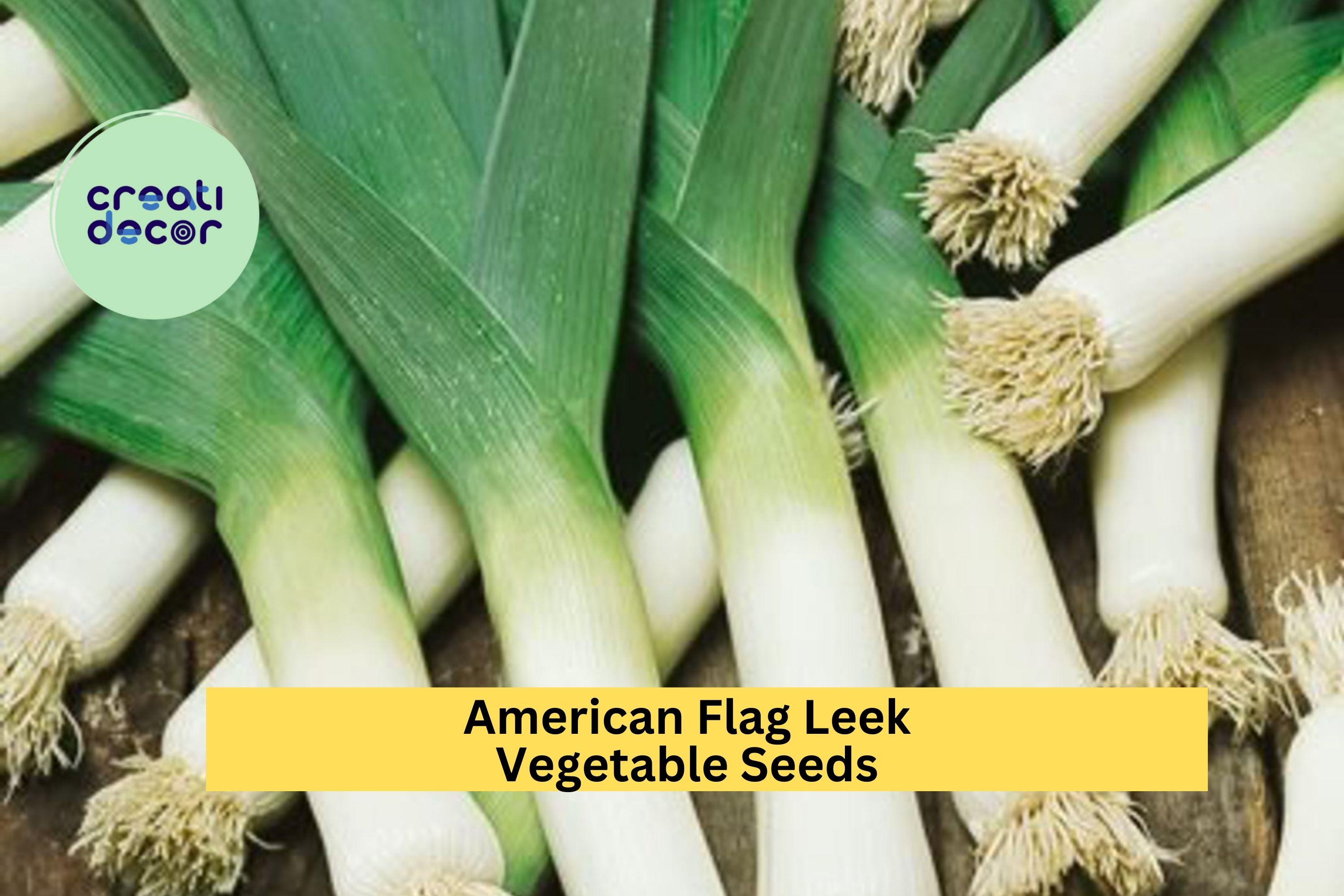 3pcs of 300mg American Flag Leek Seeds – Mild Onion Flavor for Soups, Salads, and Easy Home Garden Planting Seeds for Planting