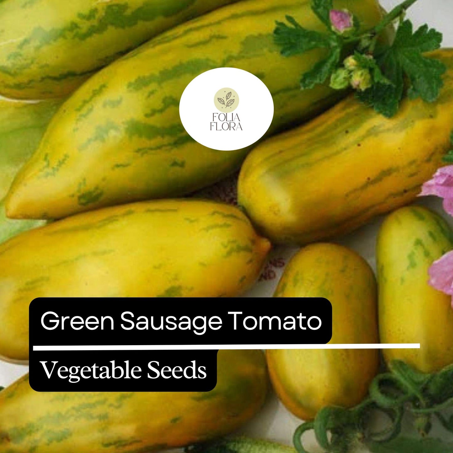 30 Green Sausage Tomato Seeds – Heirloom, Unique Green-Yellow Striped, Sweet & Tangy Flavor