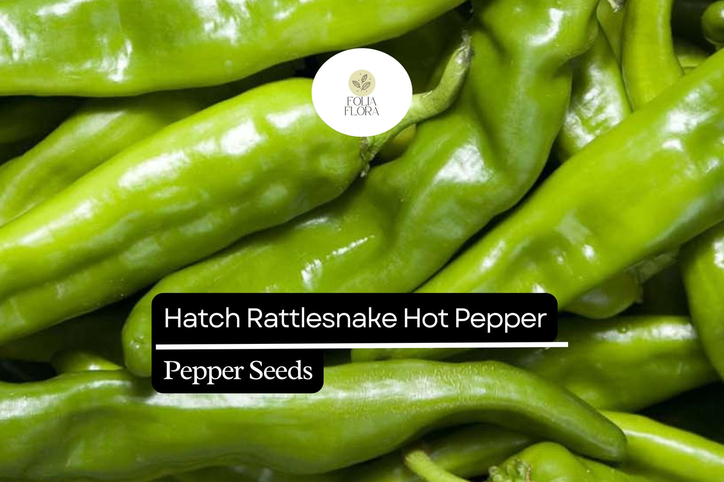 25 Hatch Rattlesnake Pepper Seeds – Capsicum annuum – Heirloom, Spicy & Smoky