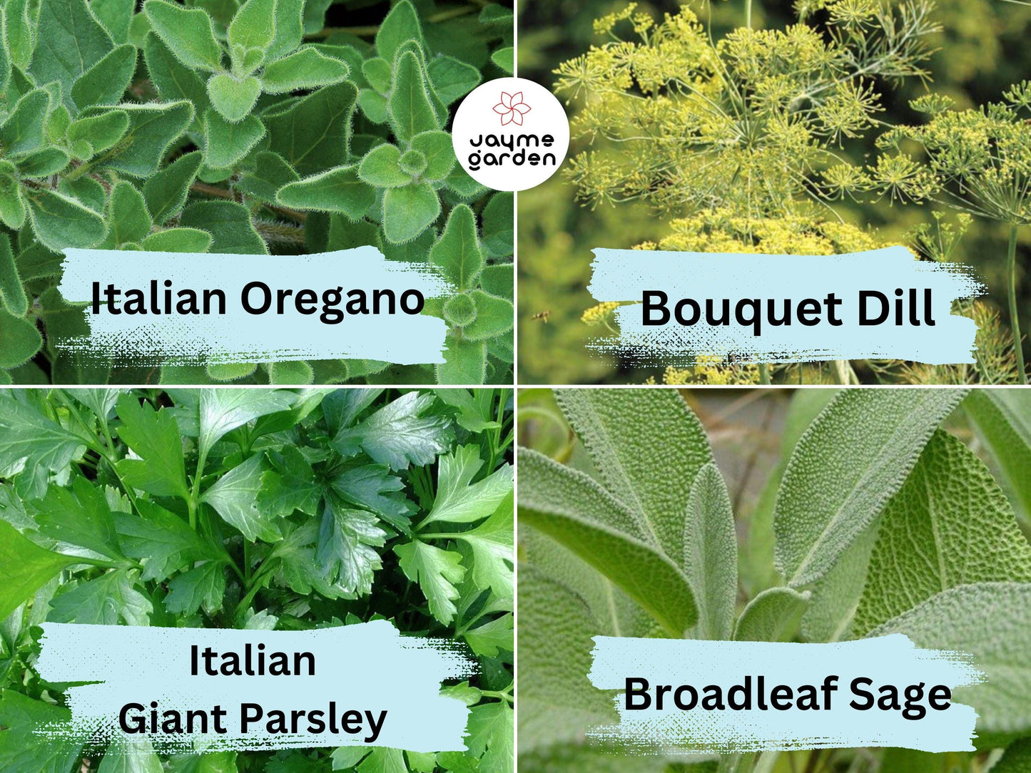12 Herb Seeds Variety - Heirloom Basil, Thyme, Parsley, Sage, Oregano, Lavender, Caraway, Chives, Summer Savory, Cilantro, Dill, Arugula