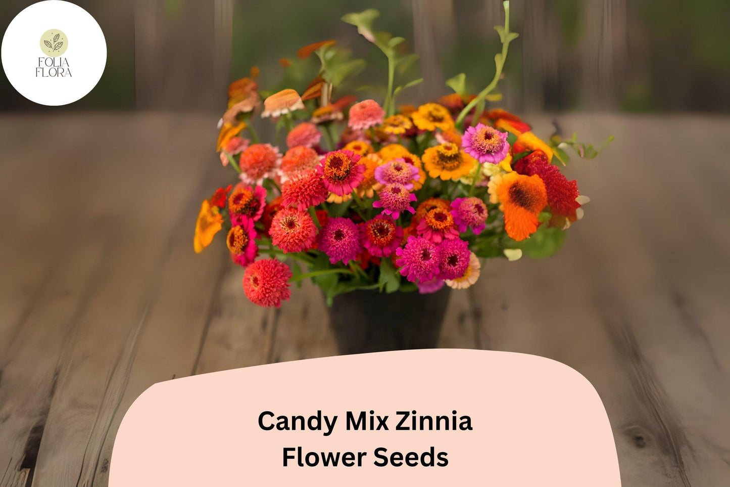 100+ Candy Mix Zinnia Seeds – Bright Multi-Color Blooms for Summer Gardens & Bouquets