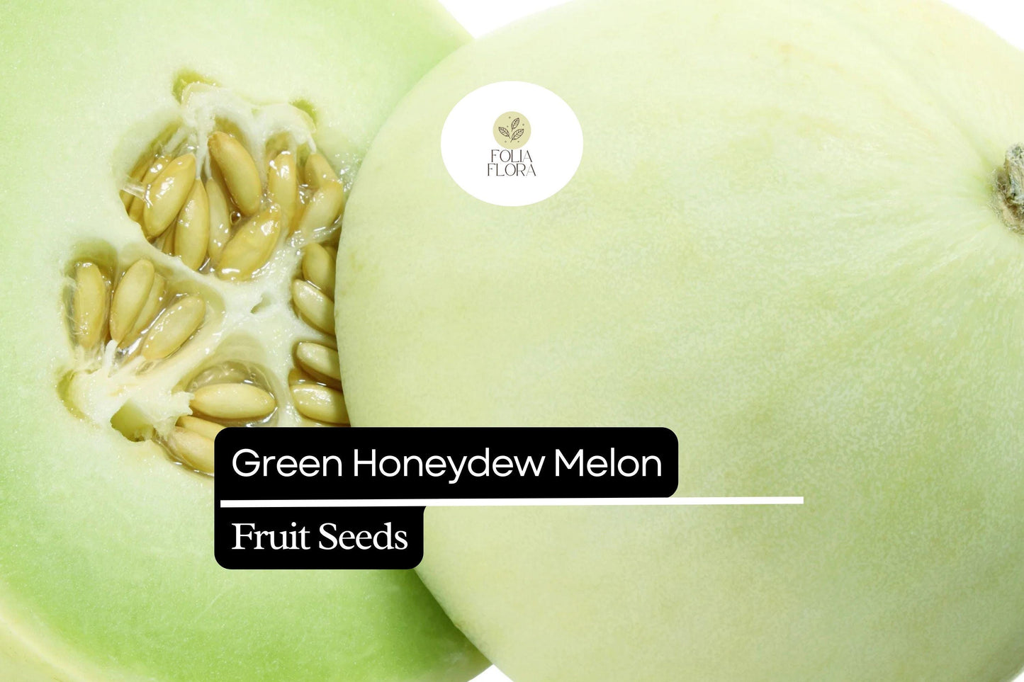 50 Seeds Green Honeydew Melon, Cucumis Melo, Sweet & Juicy Heirloom Variety