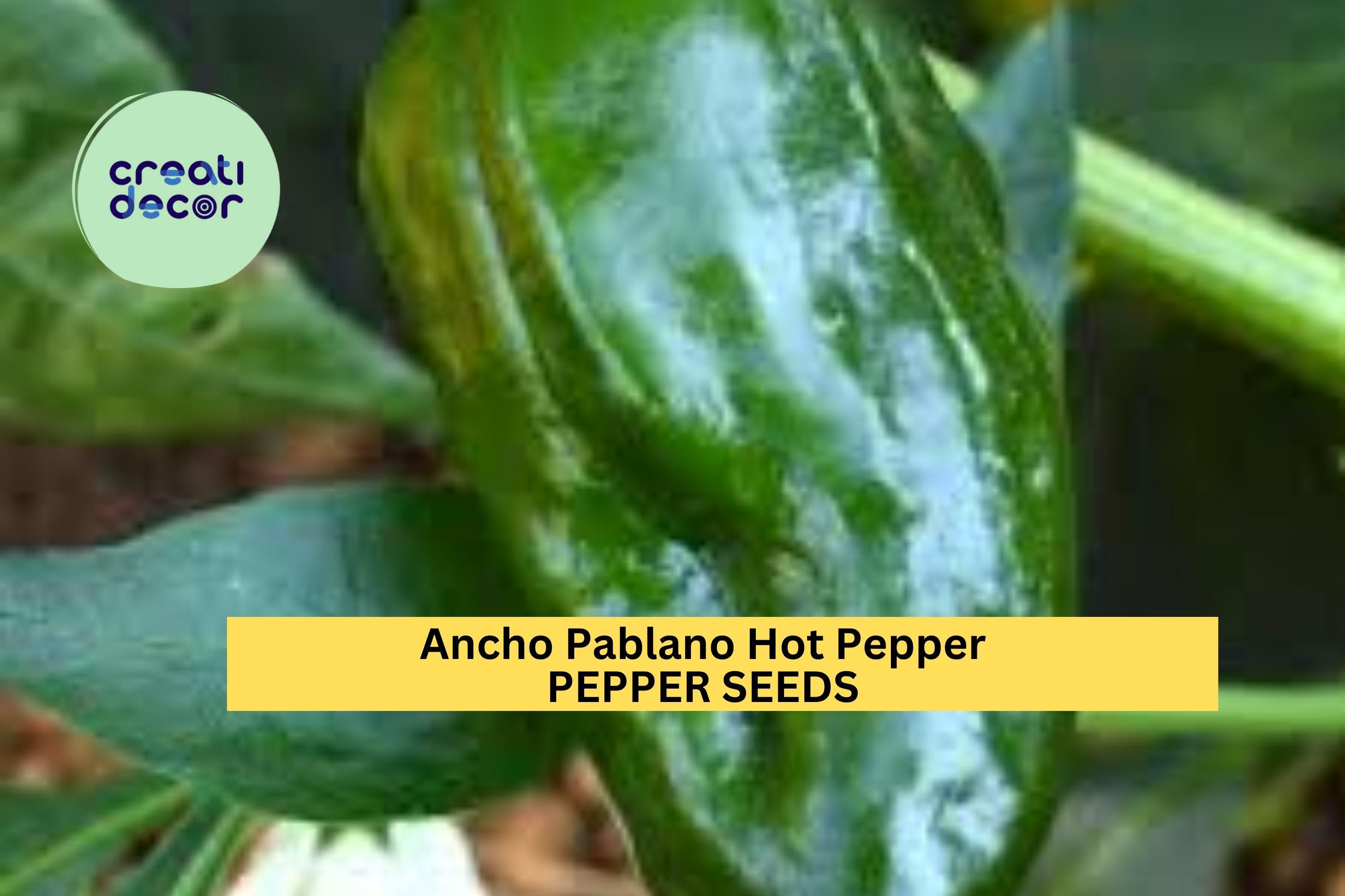 3pcs of 250mg Ancho Poblano Hot Pepper Seeds – Mild Chili Peppers for Roasting & Drying – Flavorful Hot Pepper Seeds for Planting