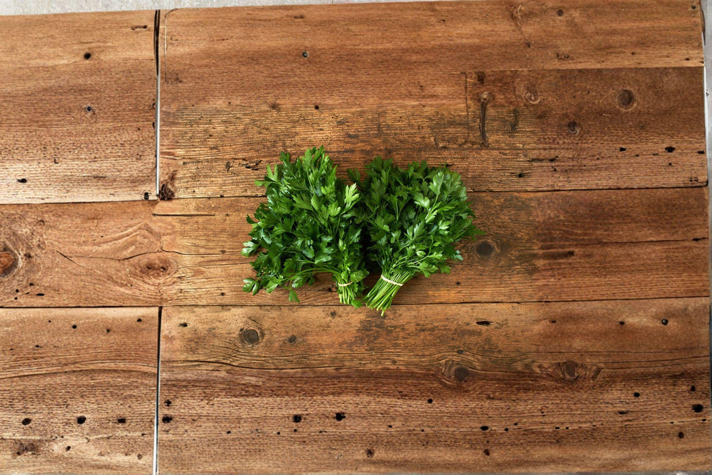 Parsley – Dark Green Italian Giant 500 Seeds | Flat-Leaf Parsley | Robust Flavor | High-Yield Culinary Herb