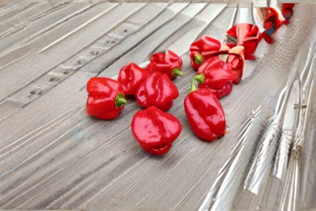 Habanero – Caribbean Red Hot Pepper 25 Seeds | Extremely Hot Pepper | Fruity Caribbean Flavor | Super Hot Chili