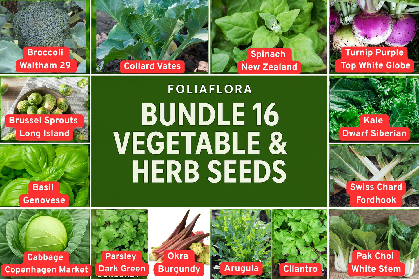 BUNDLE of 16 Vegetable & Herb Seeds – Kale, Basil, Cabbage, Spinach and More for Home Gardening