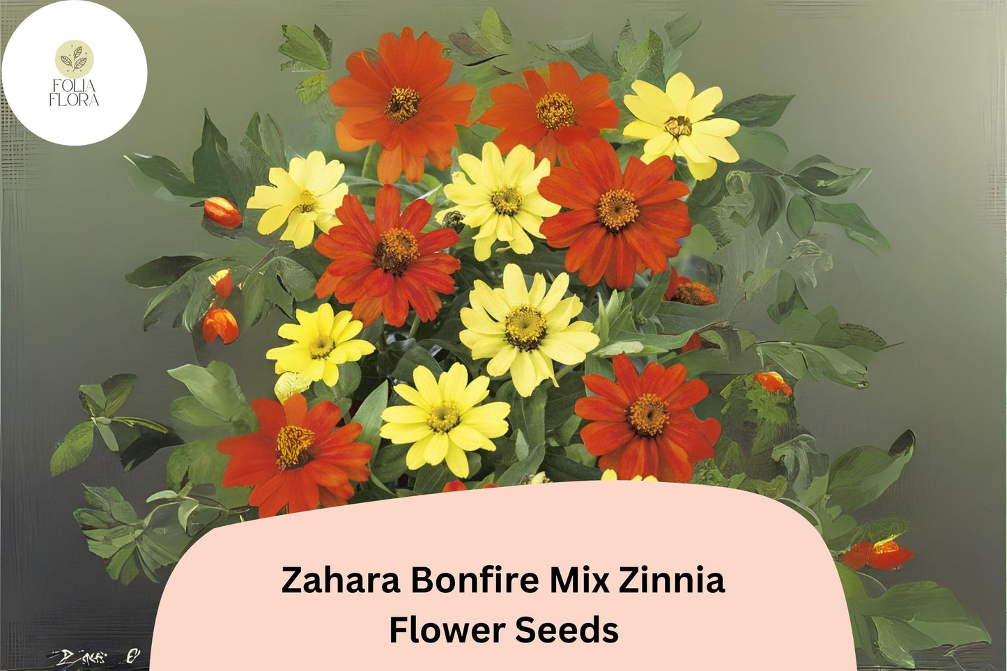 100+ Zahara Bonfire Mix Zinnia Seeds – Warm Red, Orange & Yellow Blooms for Garden Planting and Summer Beds