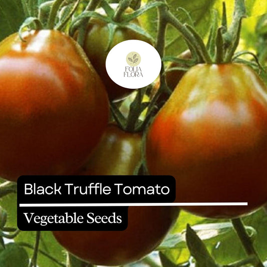 30 Black Truffle Tomato Seeds – Heirloom, Non-GMO, Rich & Sweet Pear-Shaped Tomatoes