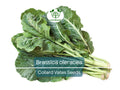 300 Seeds Collard Vates – Brassica oleracea | Heirloom Collard Greens for Planting, Gardening & Nutritious Harvests