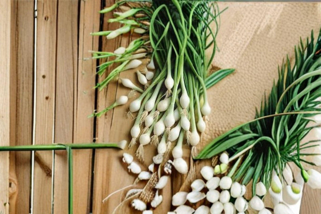 Onion – White Lisbon (Bunching) 50 Seeds | Classic Green Onion | Fast Growing | Mild & Crisp Flavor