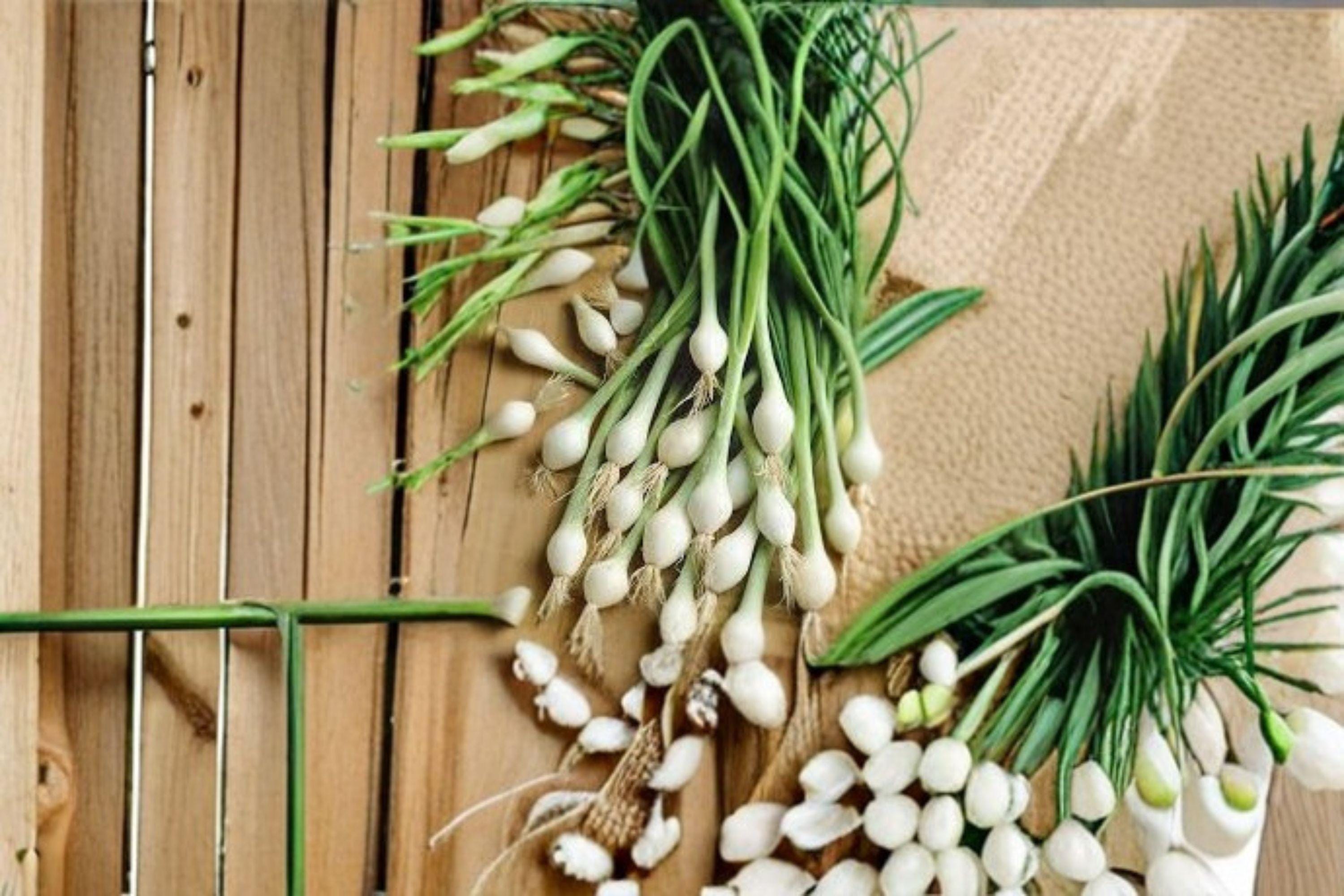Onion – White Lisbon (Bunching) 50 Seeds | Classic Green Onion | Fast Growing | Mild & Crisp Flavor