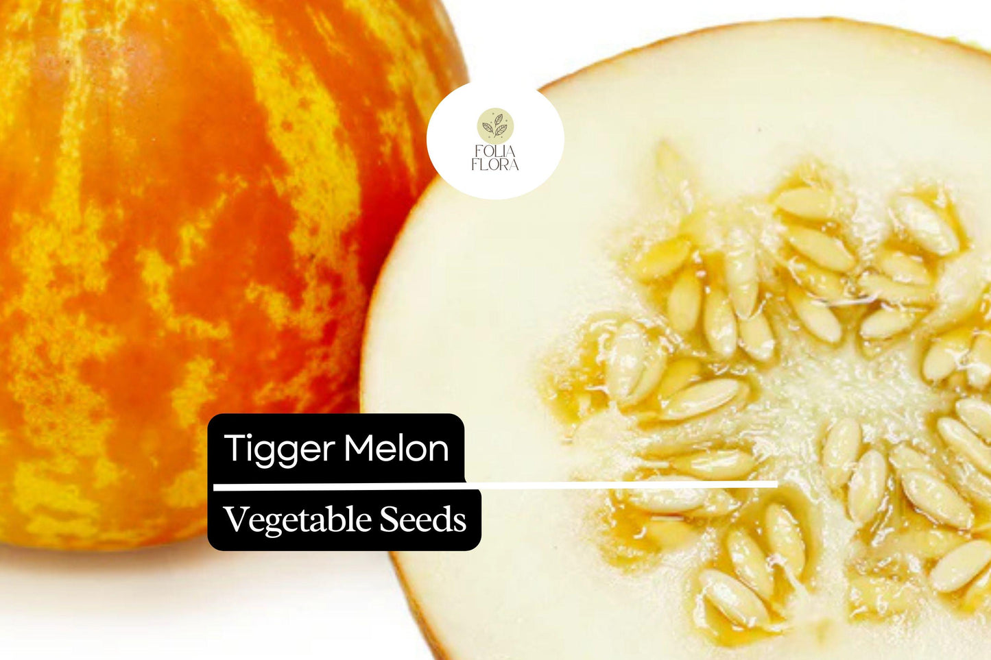 10 Seeds Tigger Melon (Cucumis melo) – Unique Heirloom Melon with Striking Stripes and Sweet Fragrant Flesh