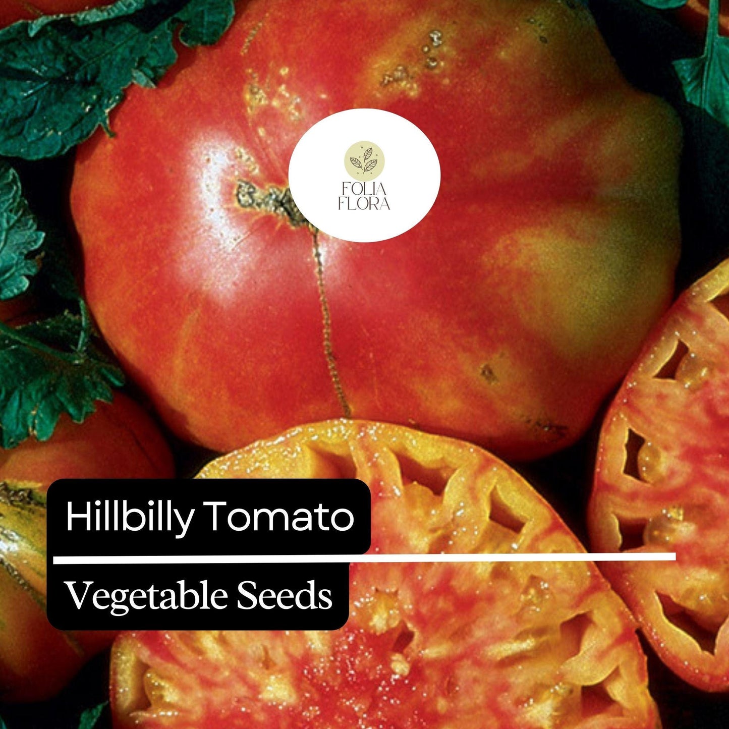 30 Hillbilly Tomato Seeds – Heirloom, Sweet & Juicy Beefsteak, Yellow-Orange with Red Stripes