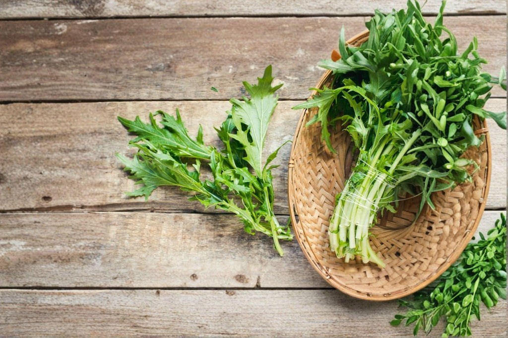 Mizuna – Early 300 Seeds | Japanese Mustard Green | Mild & Feathery Leaves | Fast-Growing