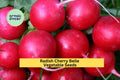 3pcs of 1g Cherry Belle Radish Seeds – Fast Growing Round Radish for Crisp, Mild Flavor in Garden or Container Planting Seeds for Planting