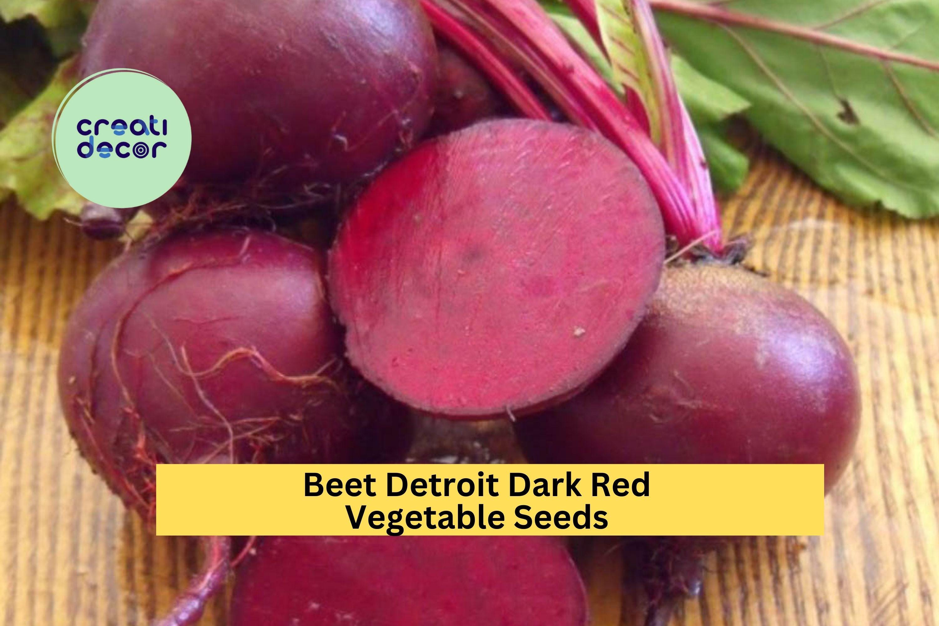 3pcs x 1g Beet Detroit Dark Red Seeds – Heirloom Beets for Garden Beds, Raised Rows, or Container Growing Seeds for Planting