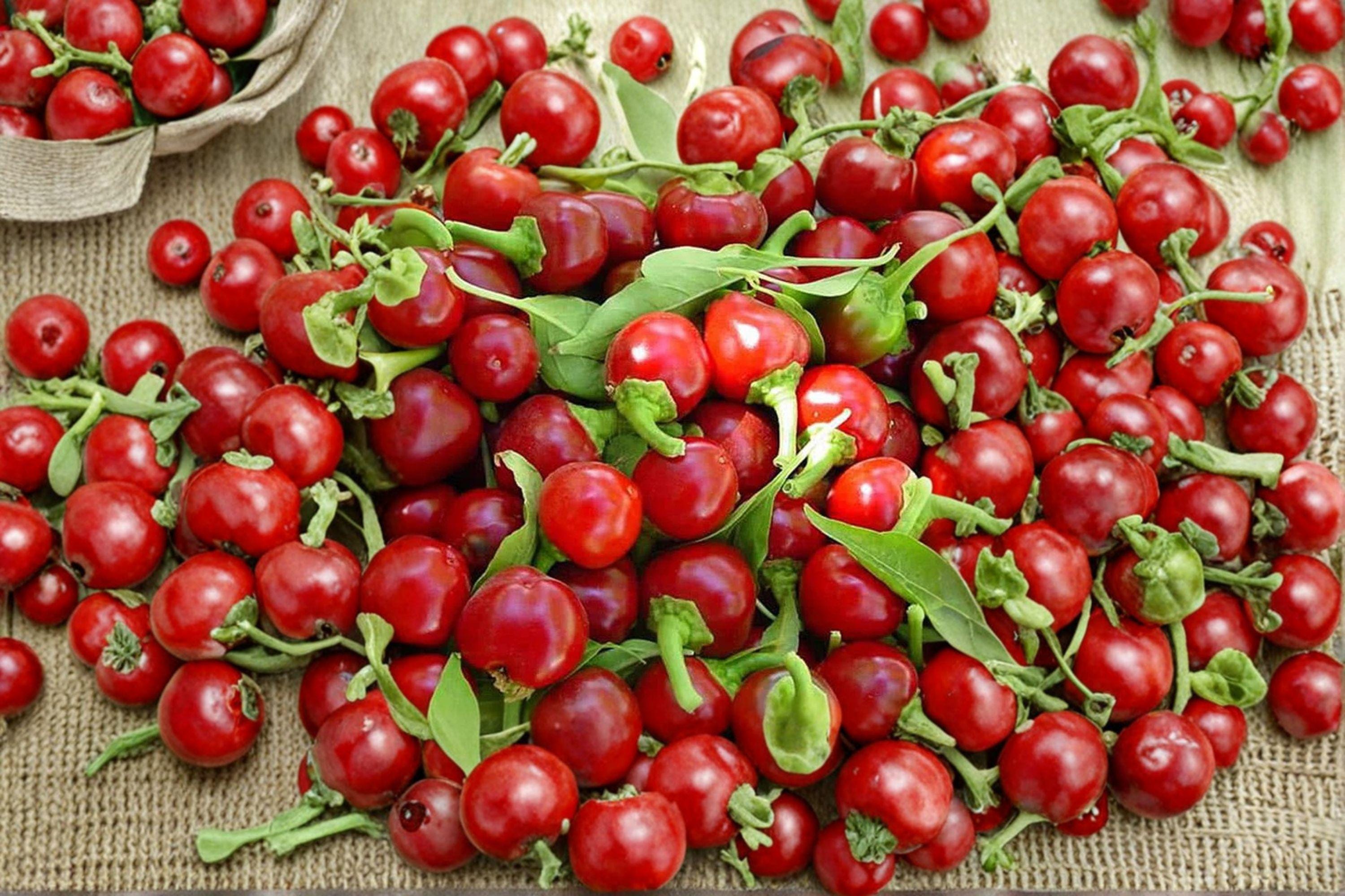 Large Cherry – Hot Pepper 30 Seeds | Round Cherry Peppers | Thick-Walled | Hot & Perfect for Pickling