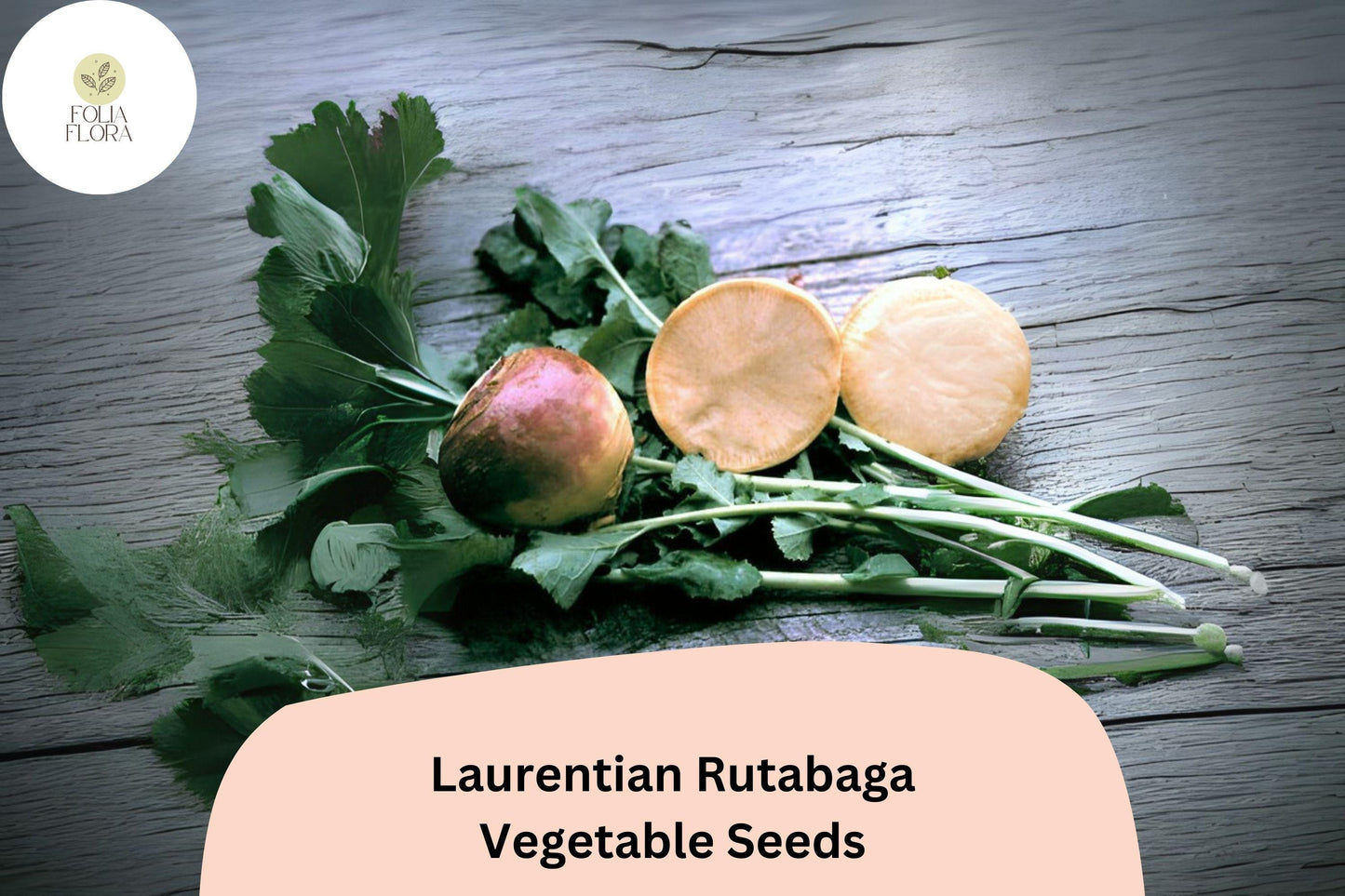 500+ Laurentian Rutabaga Seeds – Heirloom Canadian Root Vegetable Seeds for Garden Planting