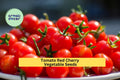 3pcs of 100mg Red Cherry Tomato Seeds – Sweet & Juicy Mini Tomatoes for Snacking, Salads, or Container Gardening Seeds for Planting