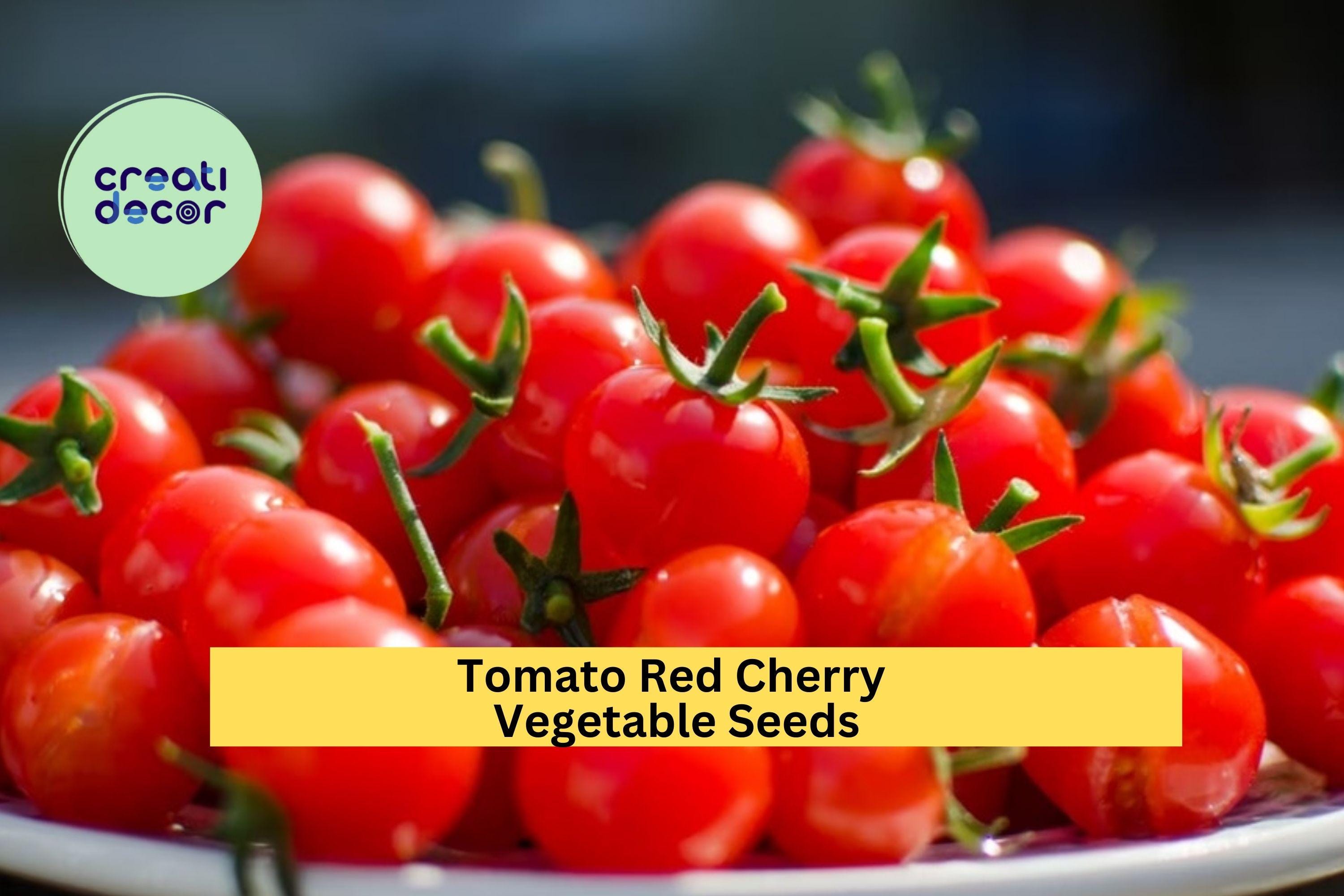 3pcs of 100mg Red Cherry Tomato Seeds – Sweet & Juicy Mini Tomatoes for Snacking, Salads, or Container Gardening Seeds for Planting