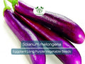 50 Seeds Eggplant Long Purple (Solanum melongena) - Non-GMO, Heirloom, Slim, Long, Easy to Grow, Perfect for Garden, Organic Planting