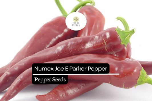 25 NuMex Joe E. Parker Pepper Seeds – Capsicum annuum – Mild Hatch-Style Chile, Non-GMO, Heirloom Pepper, 5,000–6,000 Scoville